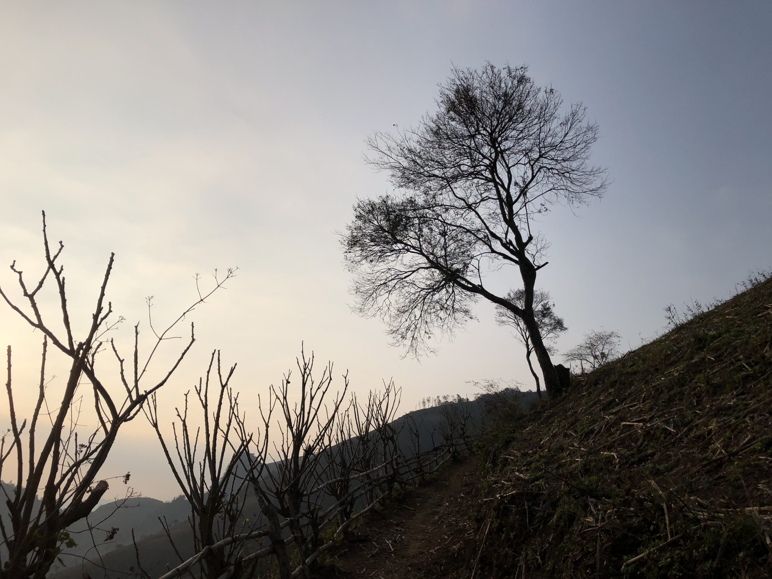 The Bicycle Challenge trail Ta Xua Tram Tau 6 Days